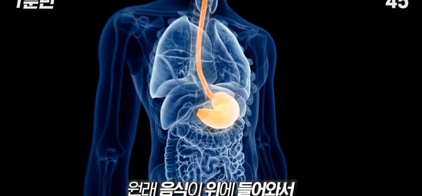 먹자마자 바로 화장실 가는 사람은 뭘까? (8)
