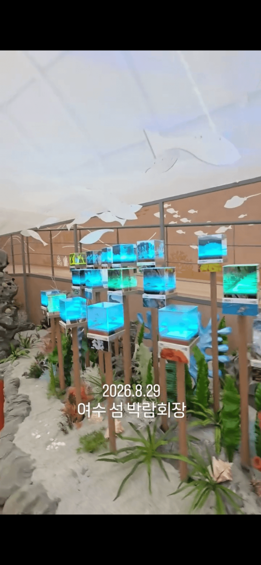 오늘 정식 개장하는 여수 세계섬박람회 전경.. (28)