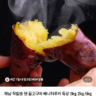 해남 직발송 햇 꿀고구마 베니하루카 특상 3kg