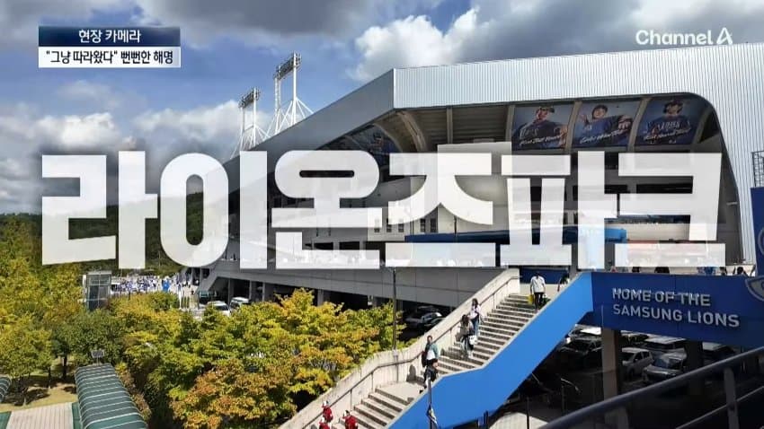 채널a) 차 머리부터 '쑥'..야구장 앞 얌체들 (42)
