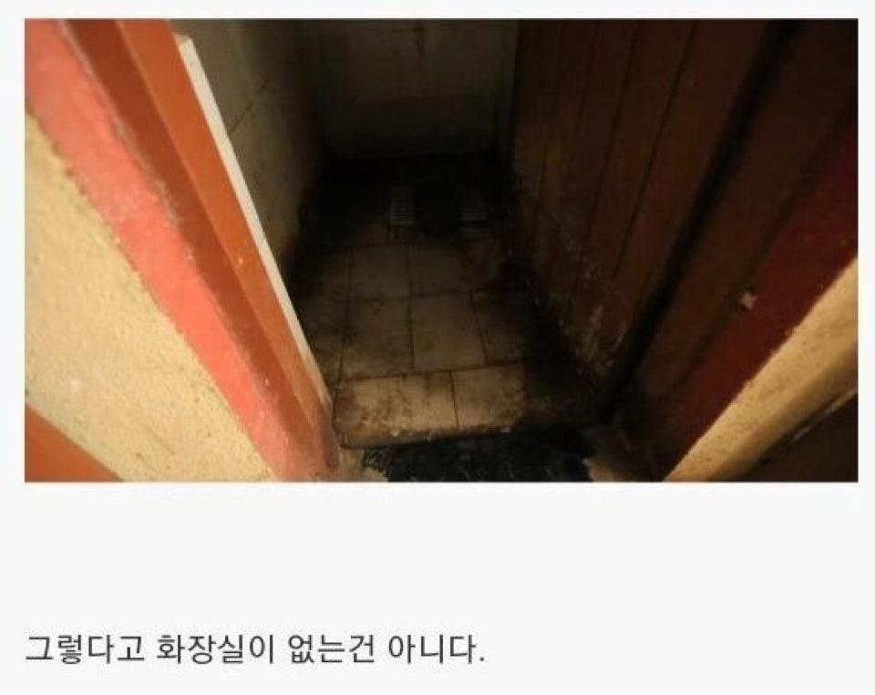 인도의 거대 화장실 (14)