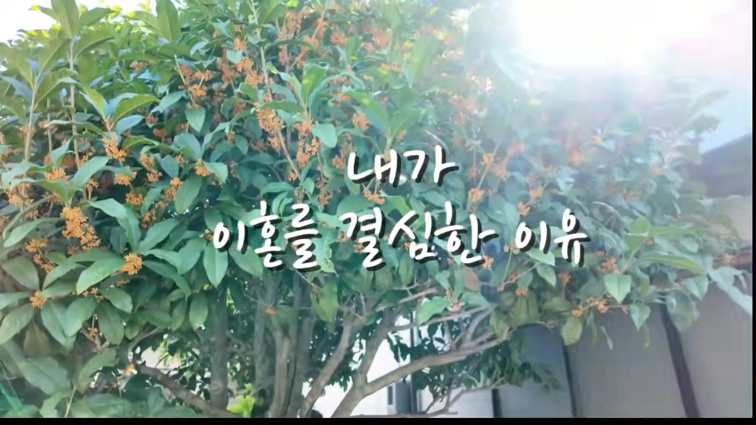 한국남자와 일본여자가 이혼 하게된 이유...