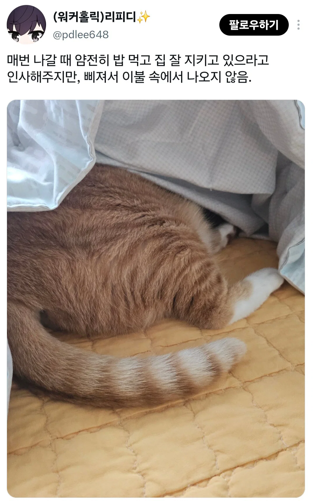 너희도 반려동물한테 나간다고 미리 말해주고 착하게 있으라고 말해???? (5)