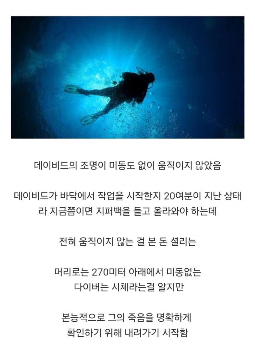의외로 다이버가 시체를 회수하다가 벌어진 사건 (9)