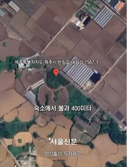 제주실종자가 발견 된 야자수 숲 가는 길을 밤에 직접 가본 기자.. (22)