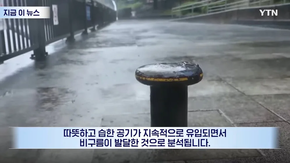 ☔️  장마철도 아닌데 '기현상'…일본인들도 술렁 🇯🇵 (9)