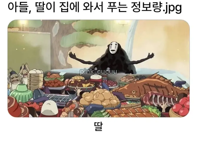아들과 딸이 집에와서 푸는 정보량