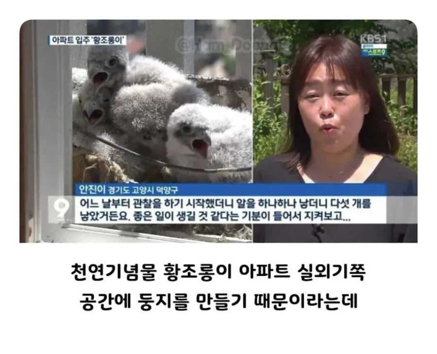 아파트 덕에 번식력이늘어난 동물