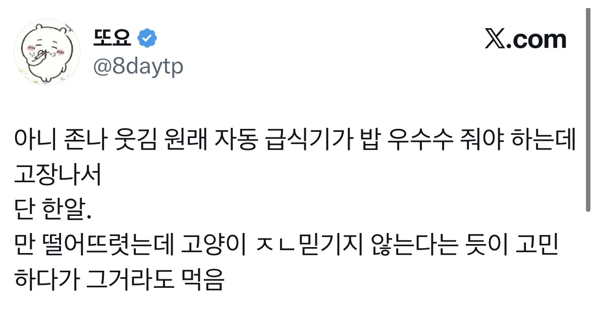 자동급식기 고장나자 고양이 반응