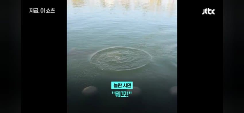 "우럭 먹자~" 부캉이에 생선 투척한 부산 시민 (10)