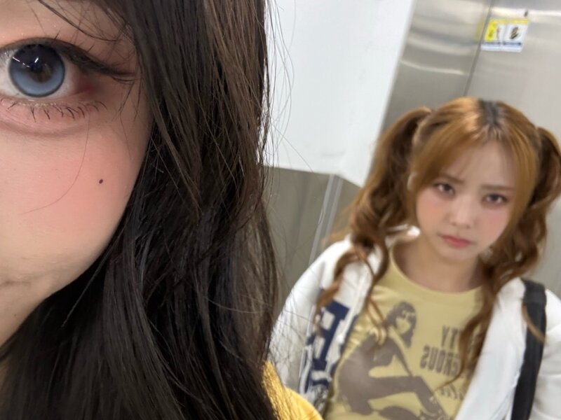 초코케이크 스타일류 과자 사천왕 중 왕중왕 끝장 투표