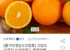 신세계푸드 블랙라벨 오렌지 특대과 3kg (10개~12개) 미국산 직수입