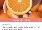블랙라벨 고당도 오렌지 중소과 20과