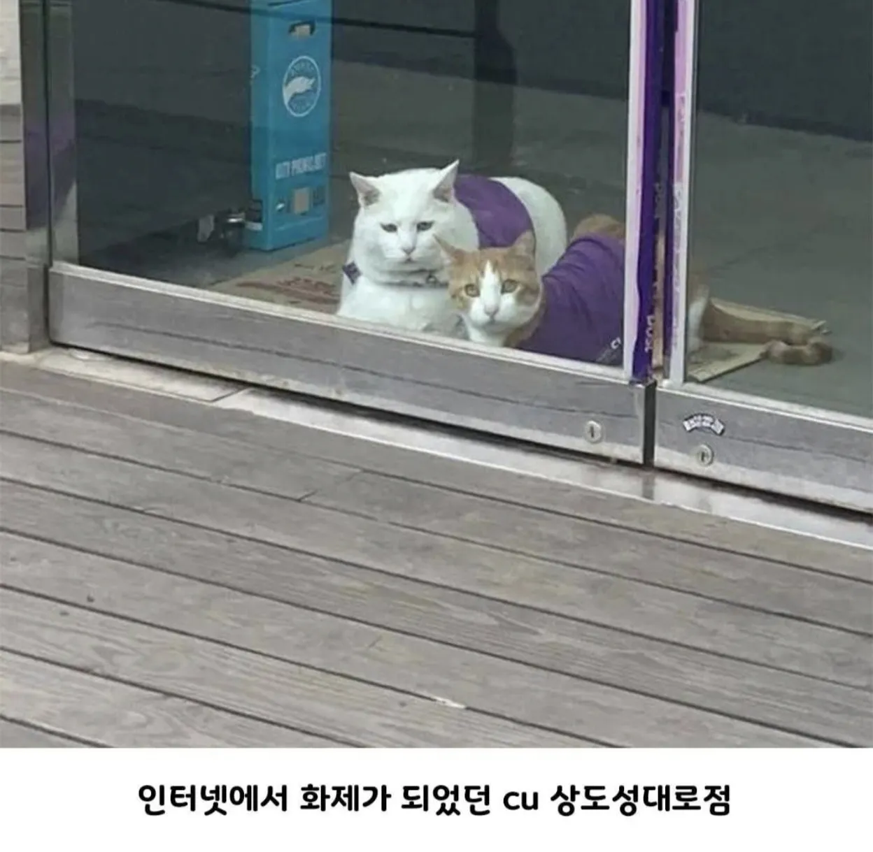 이거 아무리봐도 이 둘인것 같아 (2)