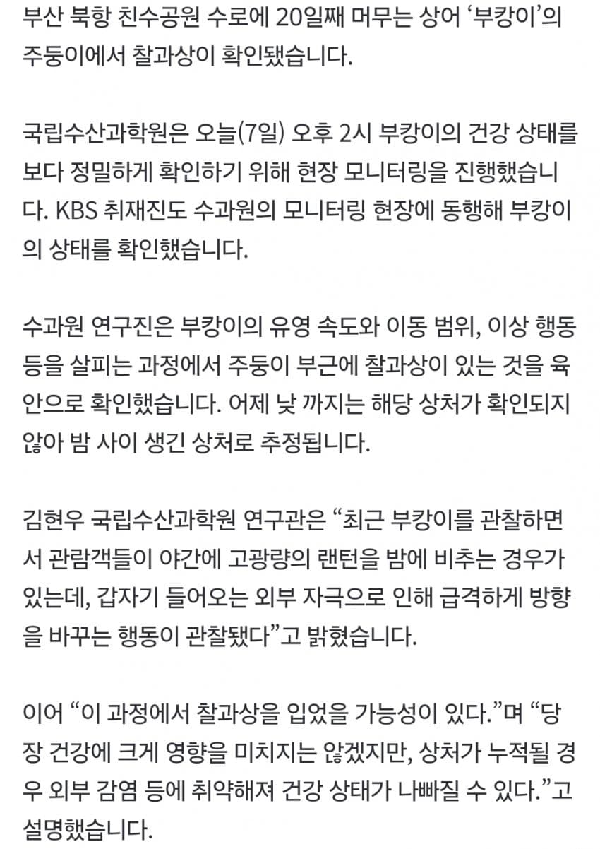 싱글벙글 부캉이 근황 (5)