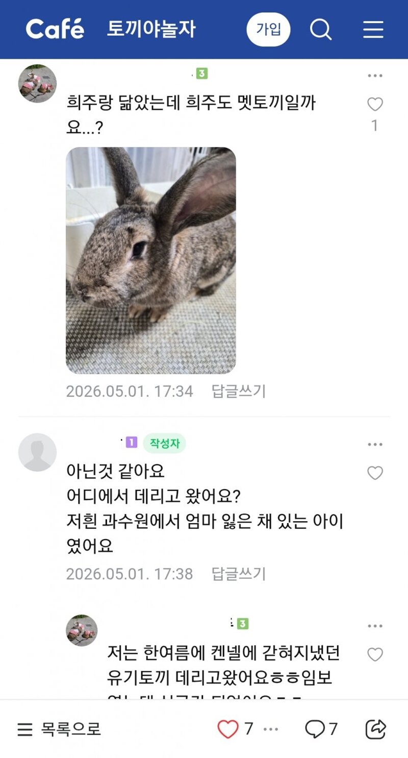 고양이 에게 물려가던 산토끼를 구했더니 (3)