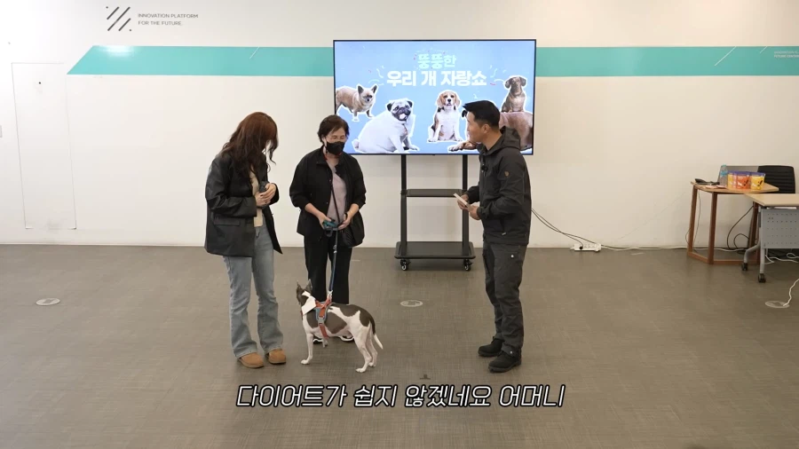 개가 살찐 이유 (14)