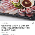 [지마켓]당일바리 제철 보리숭어 숭어회 슬라이스 300g(15,250원/무배)