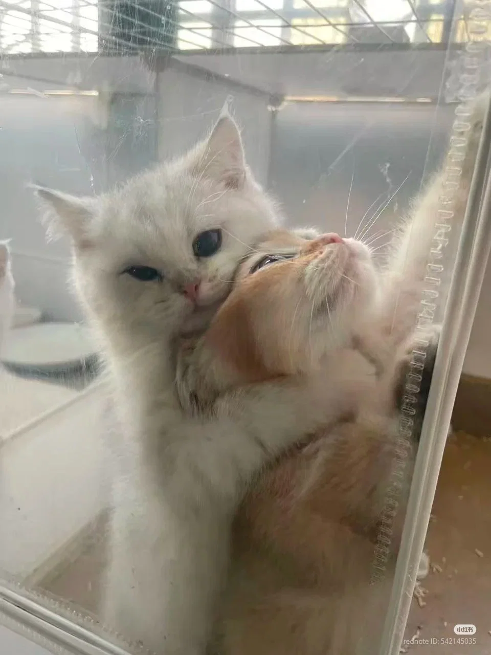 YKPcPZ