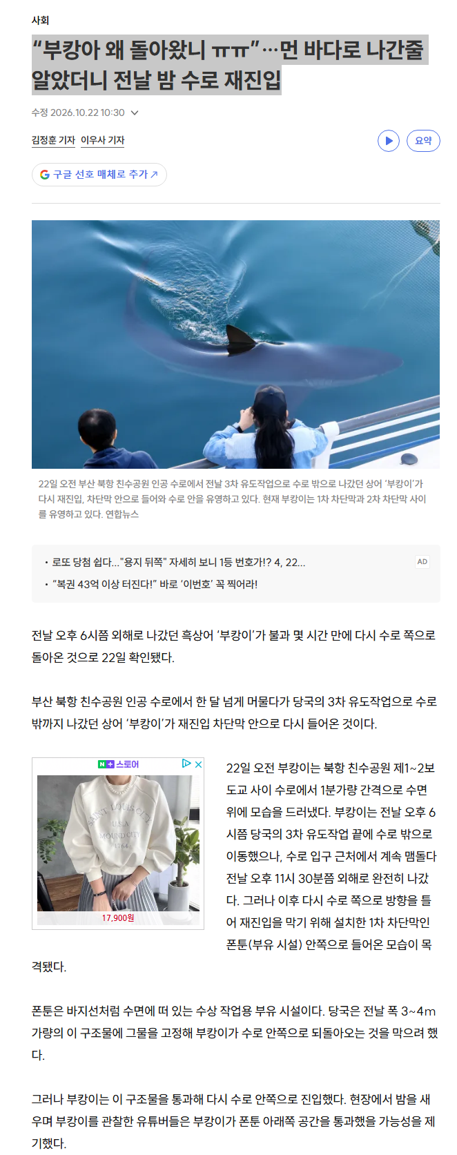 속보?)“부캉아 왜 돌아왔니 ㅠㅠ”…먼 바다로 나간줄 알았더니 전날 밤 수로 재진입