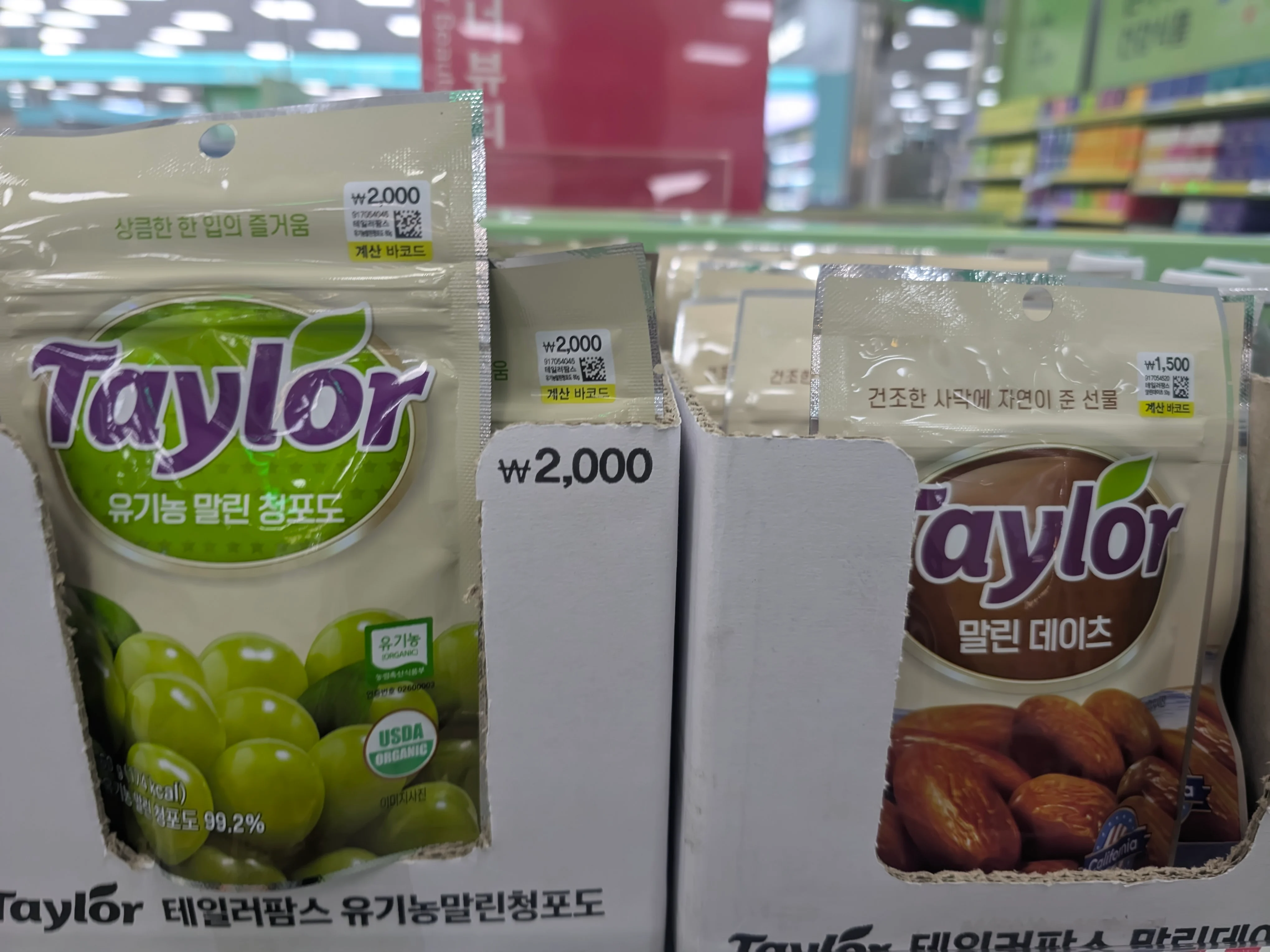 다이소 제품 근황 (8)