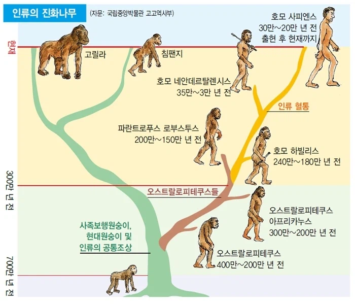 박진영 "진화론은 말이 안된다" 부정 (2)