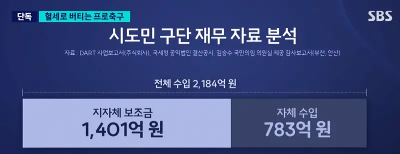 혈세로 버티는 프로축구 (4)