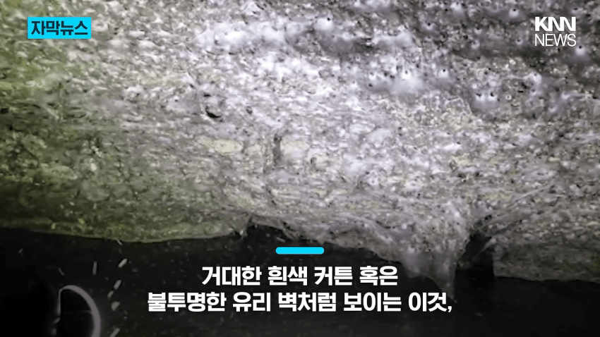 경악 세상에서 제일 큰 거미줄 발견 (5)
