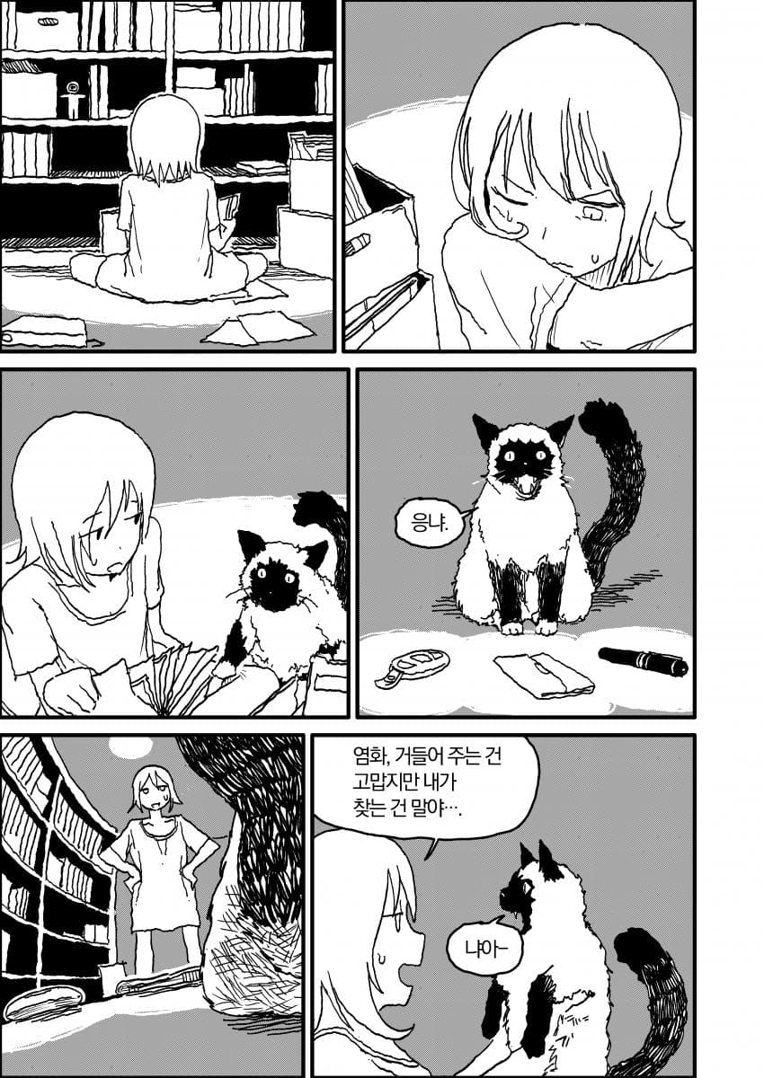 인공위성 노래 (15)