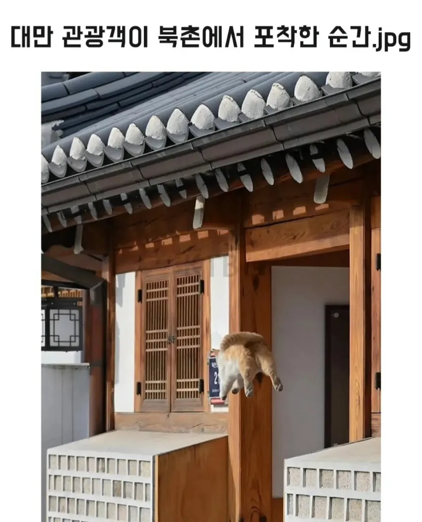 대만 관광객이 북촌에서 포착한 순간