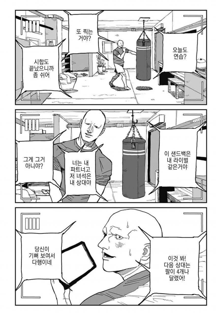 최강이라 불리던 격투가 만화 (3)