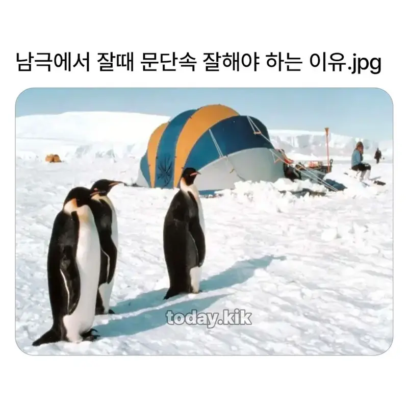 남극에서 잘때 문단속 안하면
