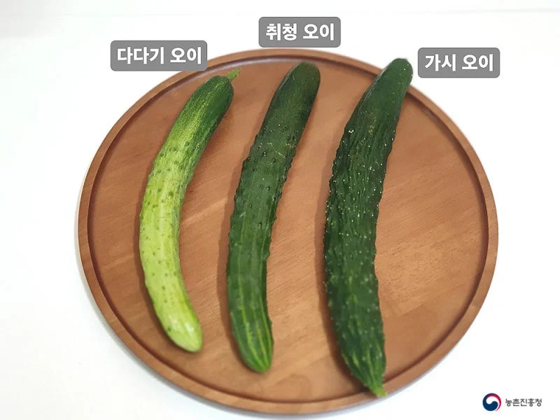 우리나라에서 수도권&충청도 / 전라도 / 경상도&제주도 지역마다 다르다는 채소 (8)