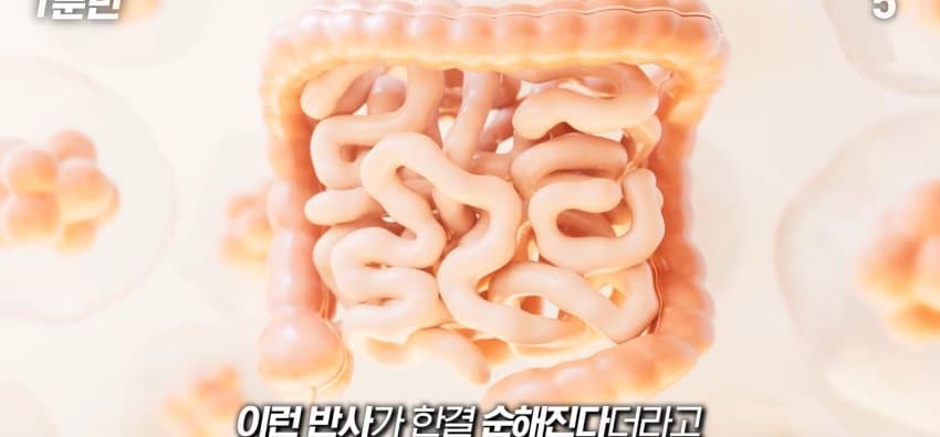 먹자마자 바로 화장실 가는 사람은 뭘까? (38)