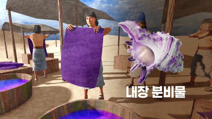 싱글벙글 고대시대 황제만 입을 수 있었던 보라색 (15)
