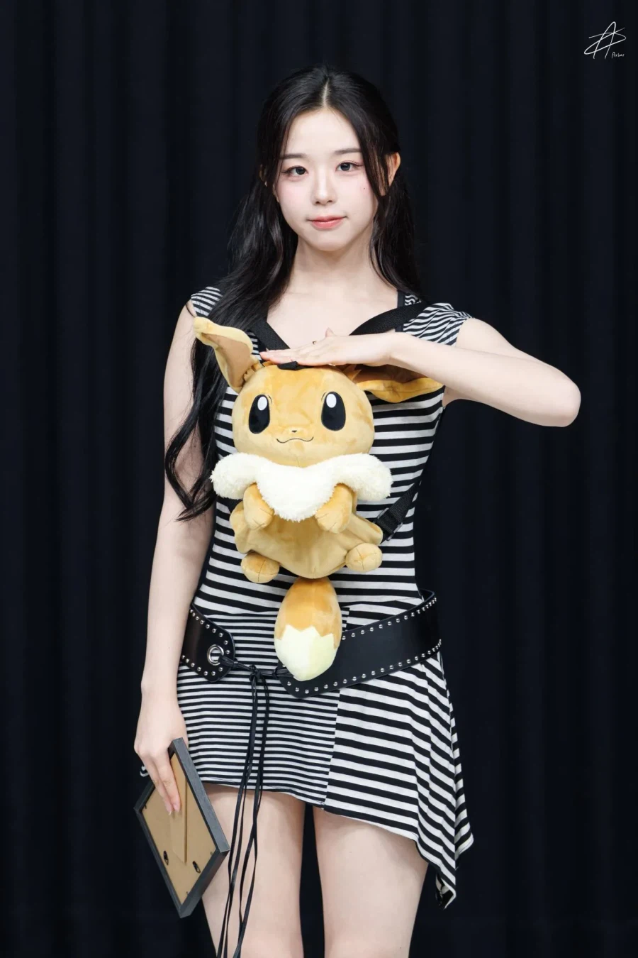 이브이 쿠션 jpg (2)