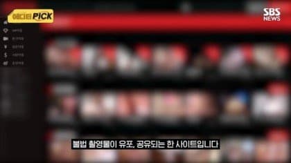 야동사이트 해킹해서 폐쇄하는 방법 고려한다는 경찰