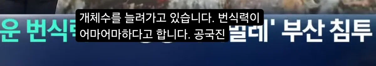 (바퀴사진주의) 어쩌다보니 한국 바퀴벌레를 응원하게 생긴 현재 부산 상황. (2)