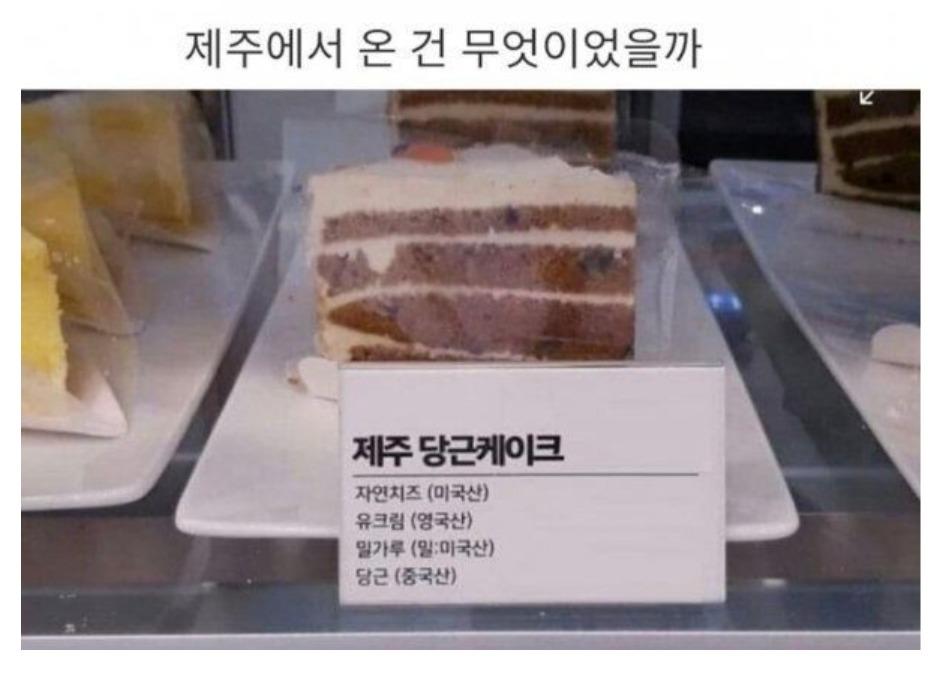 이상한 제주 당근 케이크