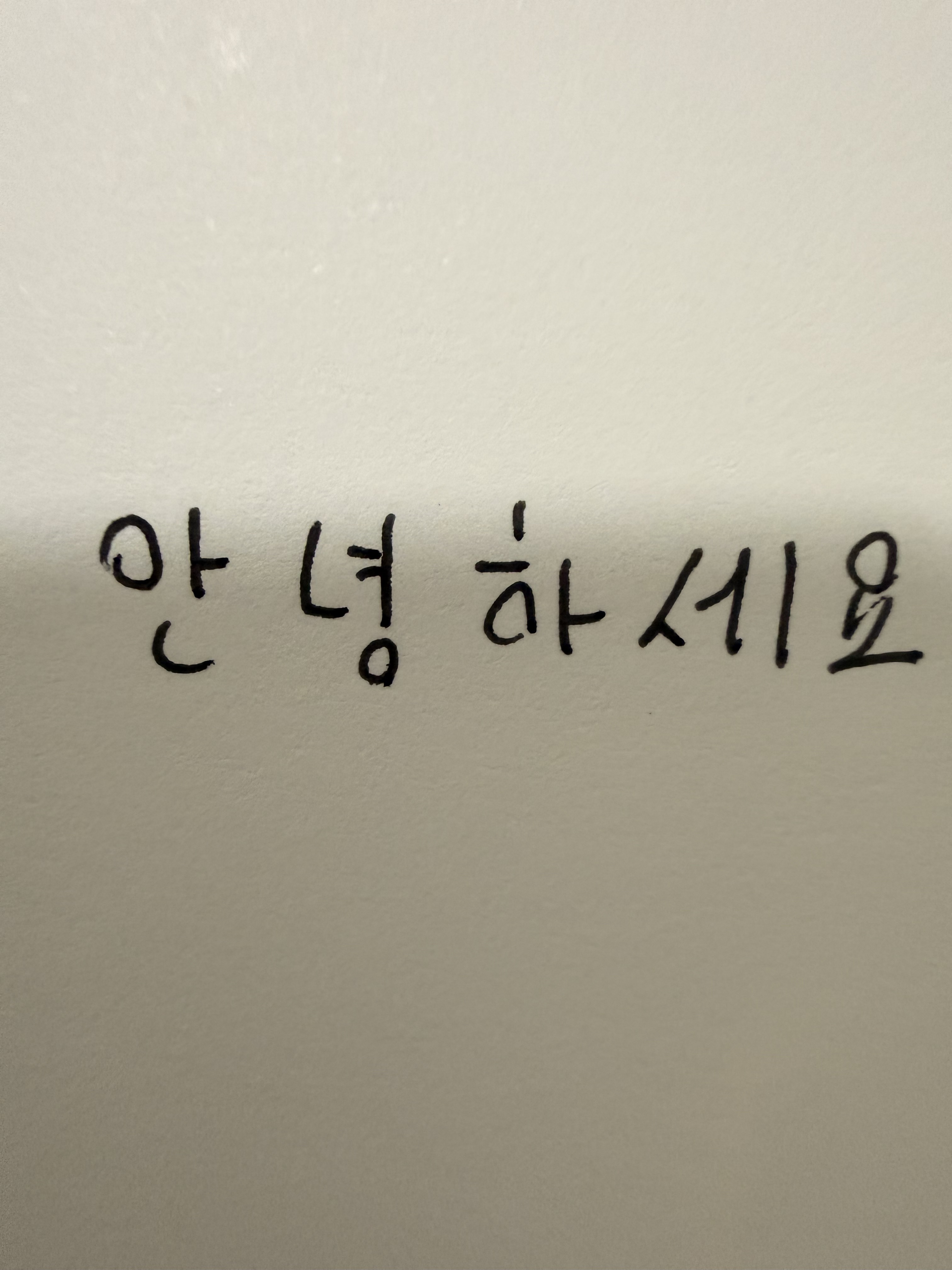 커피에 진심인 나라
