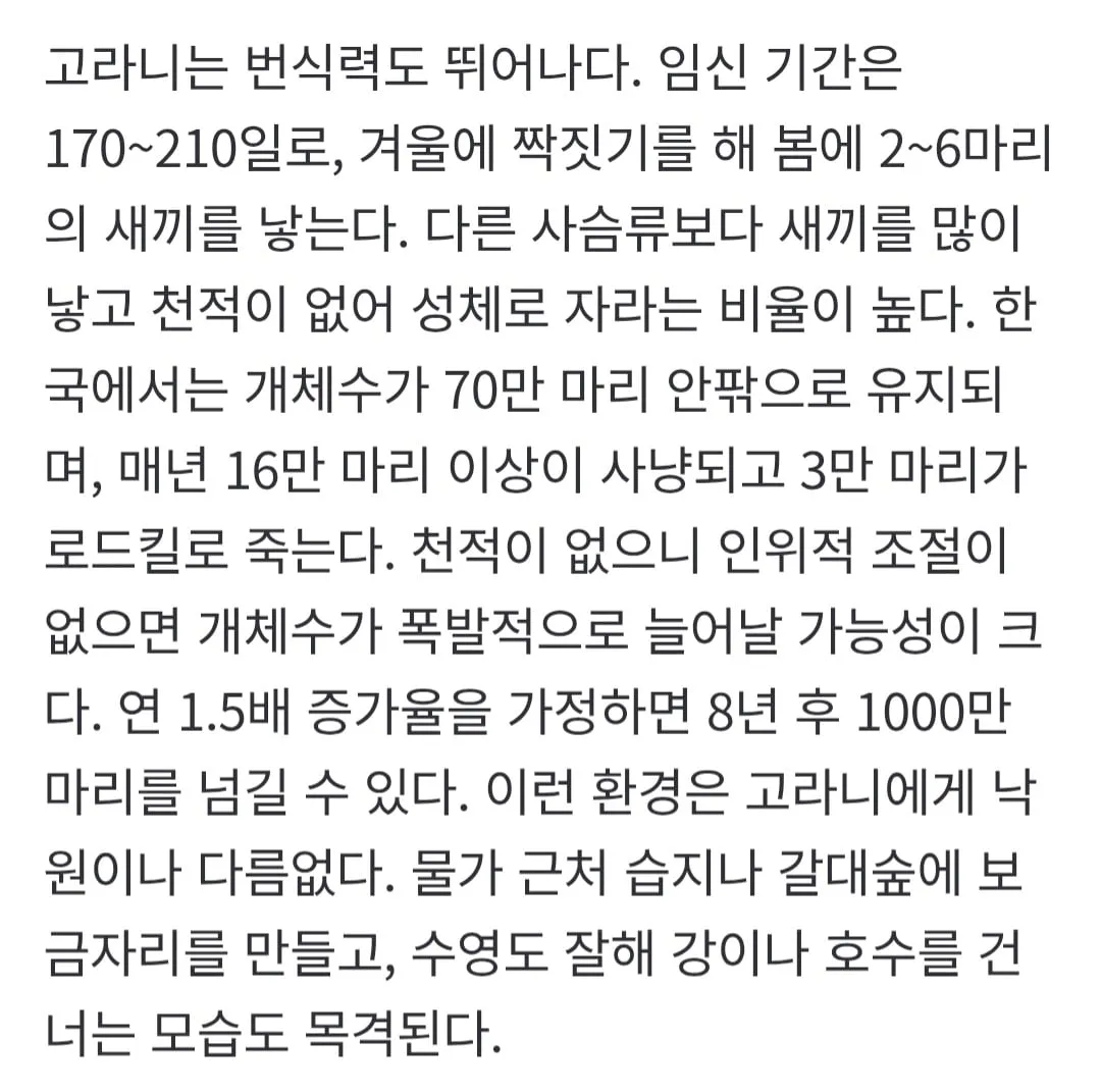 한국에서 1년에 사냥,로드킬 당하는 고라니 수