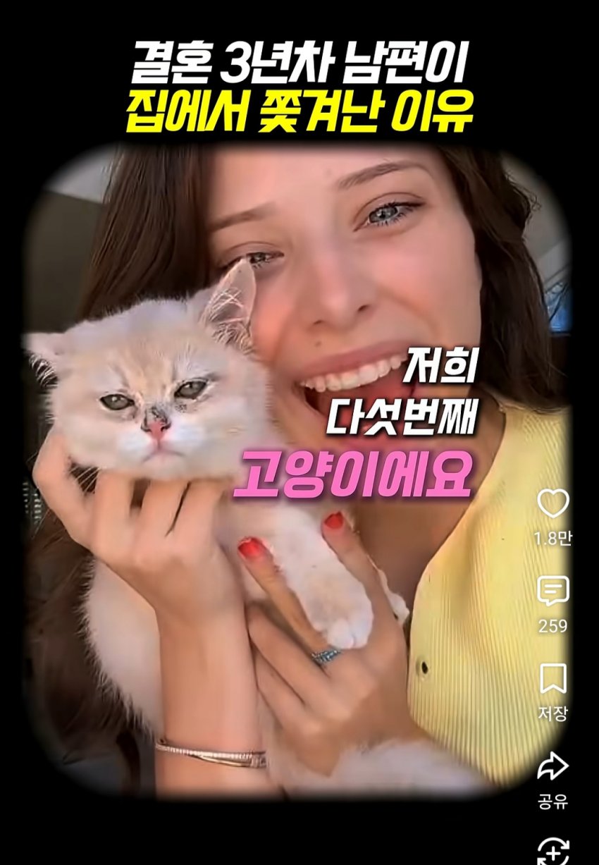 훌쩍훌쩍 부부의 반려동물 고르기촌 (13)