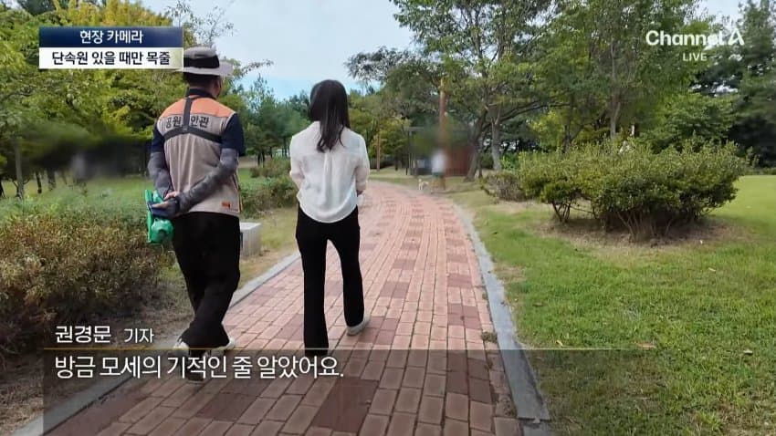 채널a) 단속원 퇴근하자...공원이 '개판' (11)