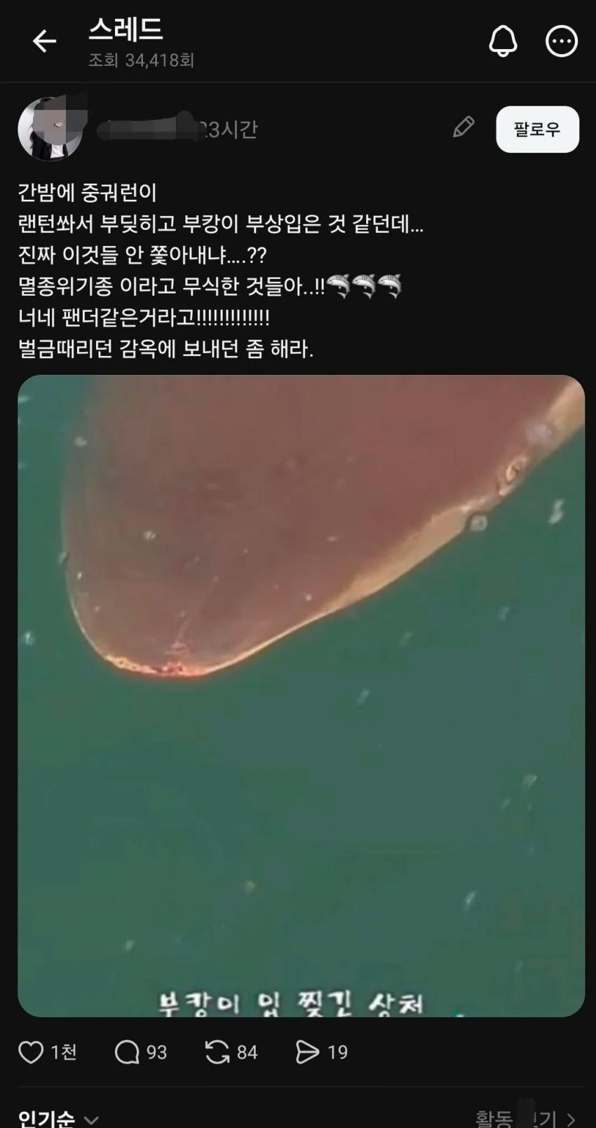 훌쩍훌쩍 죽기 직전이라는 부산 상어 (6)