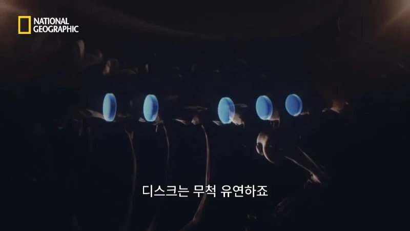 사냥 중 120m 절벽 아래로 떨어진 눈표범. jpg & YouT