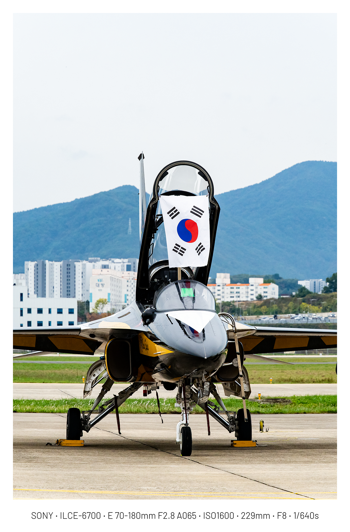 오늘자 사천 철새 사진 (22)