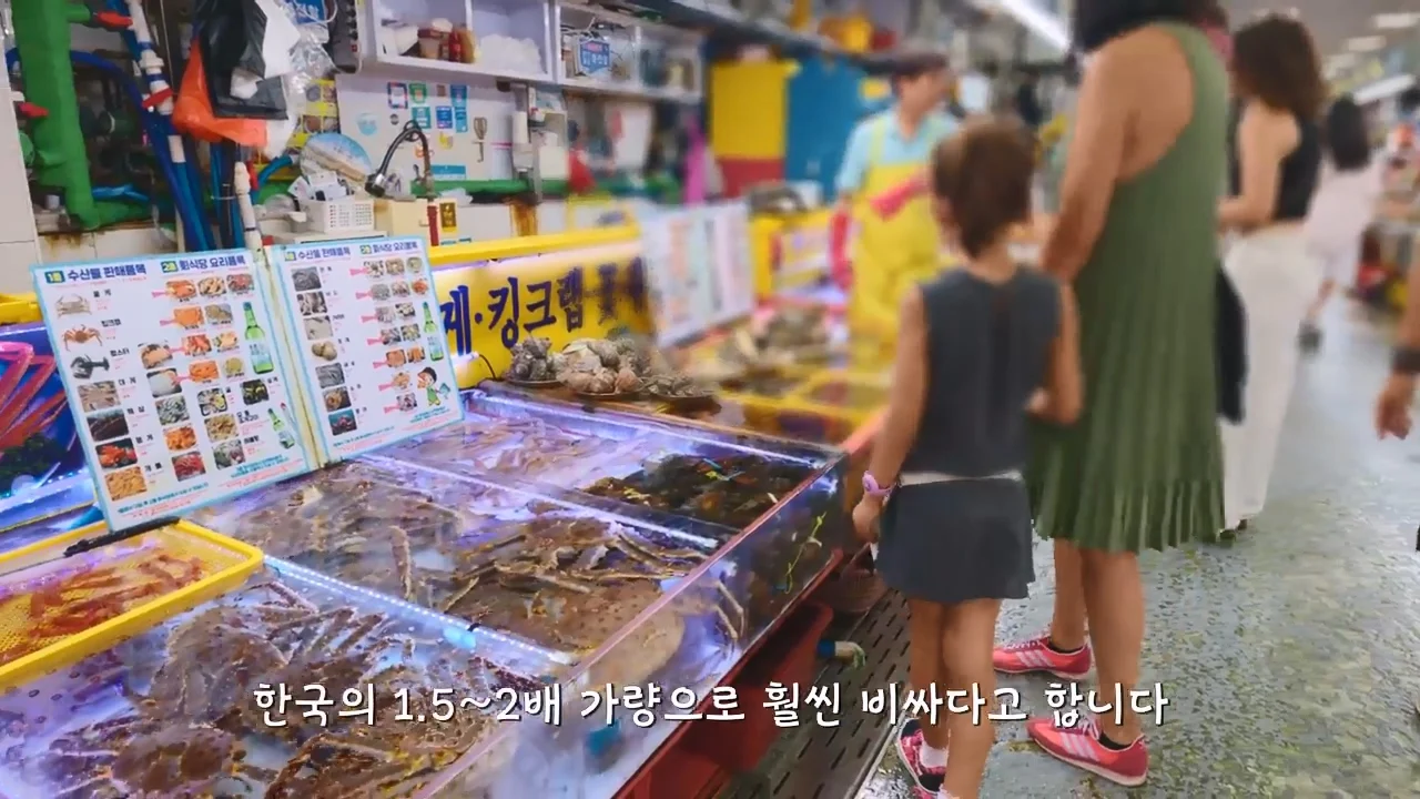 지금 부산에 여행온다고 외국인들이 몰리는 이유 (44)