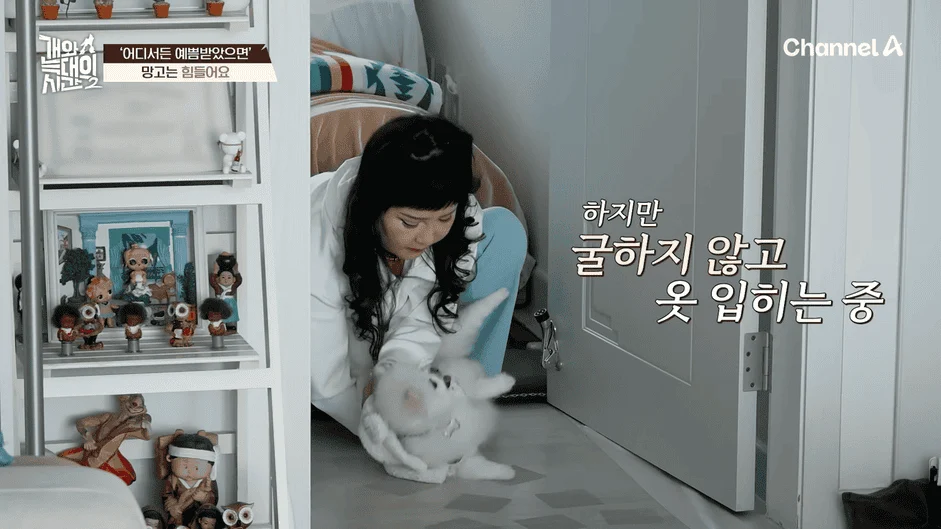 [#개와늑대의시간2] _저 같아도 물 것 같._ 하루에 개를 462번 부르는 보호자!_😨🚨 (귀에 딱지 앉을 듯.)🤕🐕 _ 개와 늑대의 시간2 17회 9-42 screenshot.png
