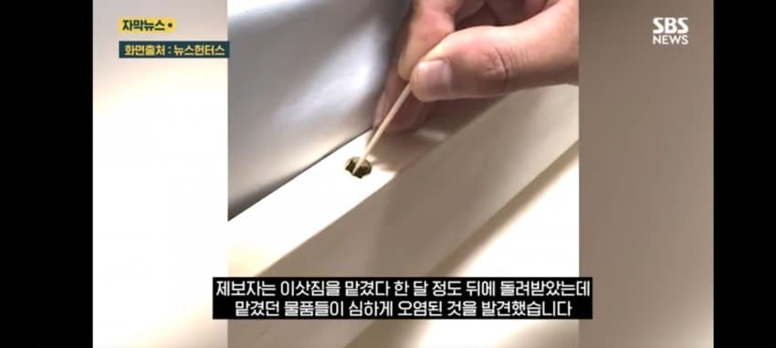 보관이사 맡겼다가 곰팡이, 벌레로 가구 다 망가진 제보자 (5)