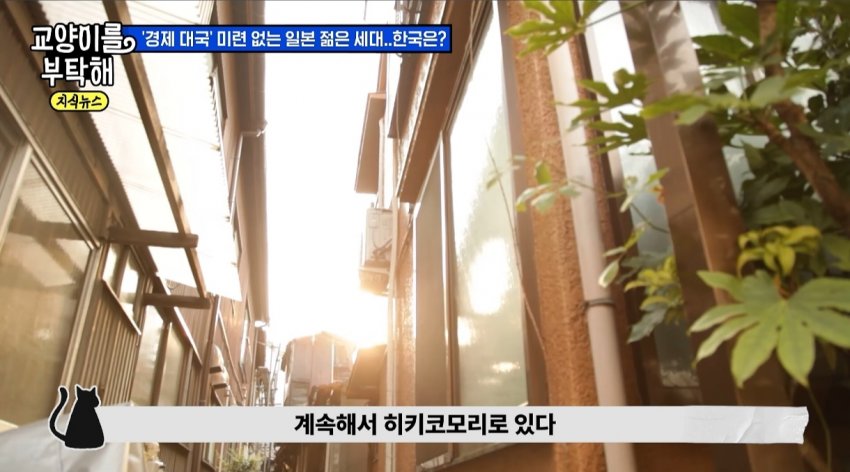 안싱글벙글 20살 히키코모리가 50살까지 간다 (4)